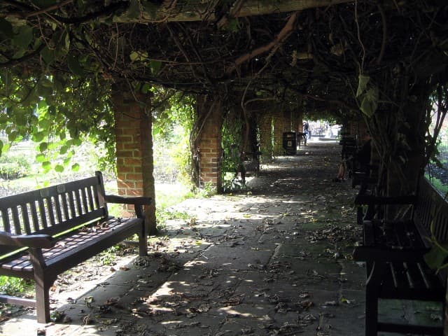 Pergola. The pergola in the rose garden providing shade, in contrast to the winter submission. 834686