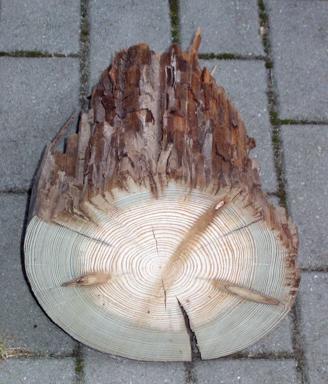 zerstörter telegrafenmast